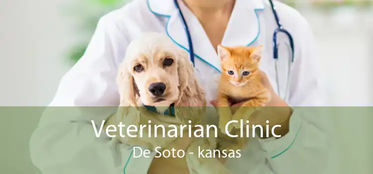 Veterinarian Clinic De Soto - kansas