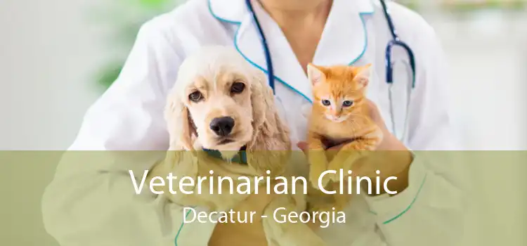 Veterinarian Clinic Decatur - Georgia