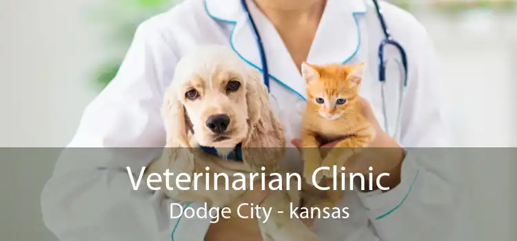 Veterinarian Clinic Dodge City - kansas