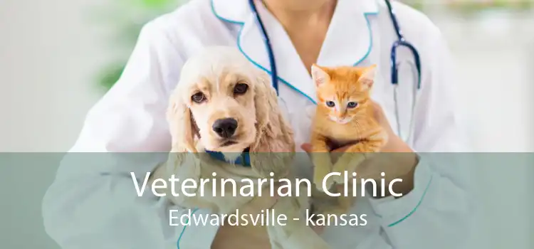 Veterinarian Clinic Edwardsville - kansas
