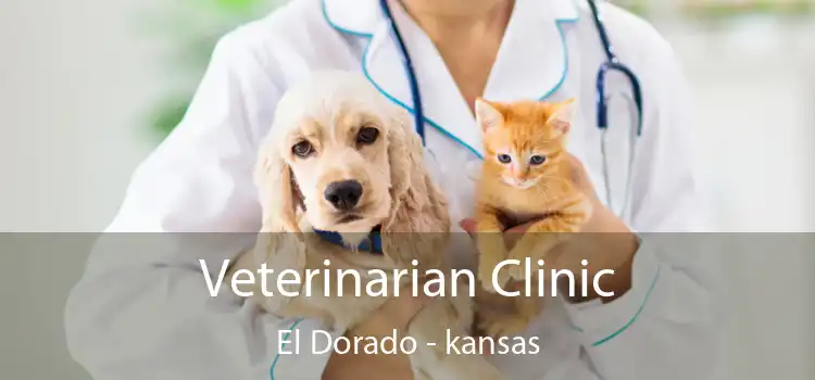 Veterinarian Clinic El Dorado - kansas