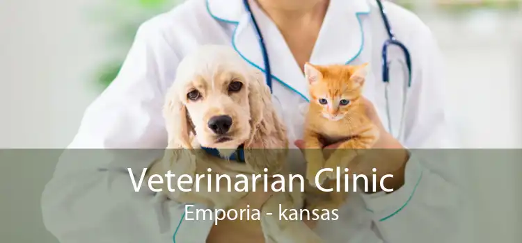 Veterinarian Clinic Emporia - kansas