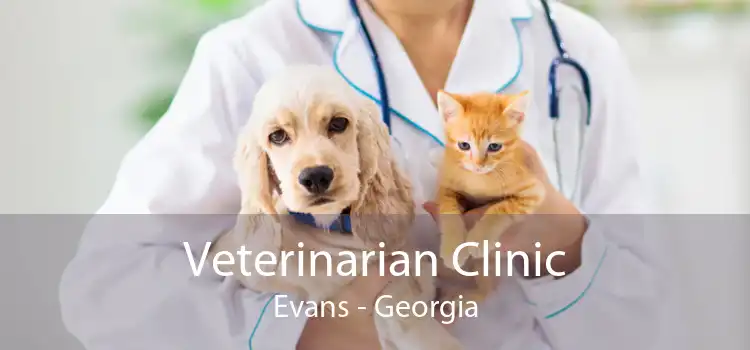 Veterinarian Clinic Evans - Georgia