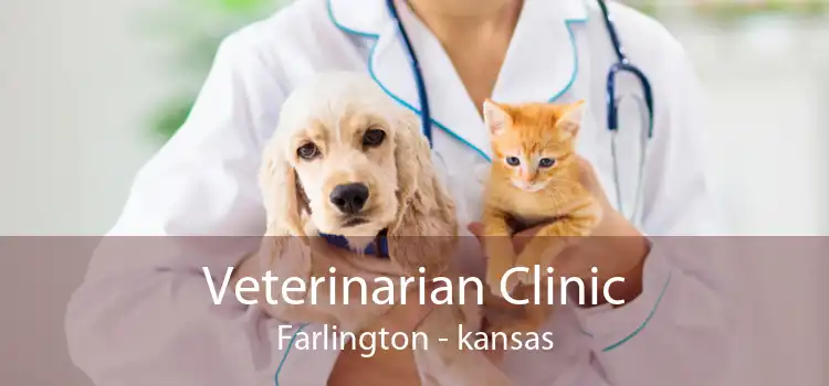 Veterinarian Clinic Farlington - kansas