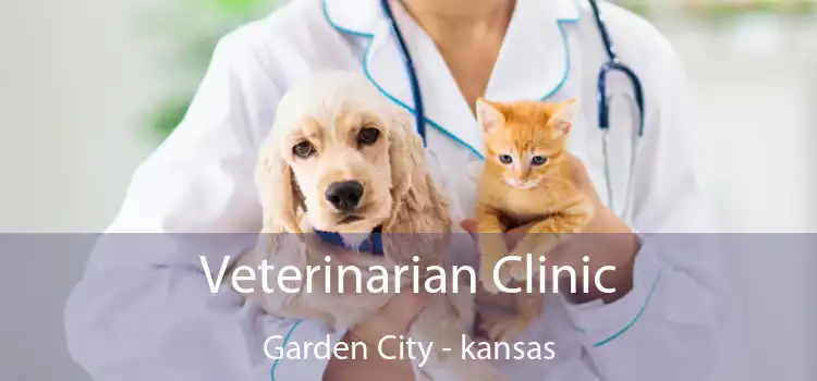 Veterinarian Clinic Garden City - kansas