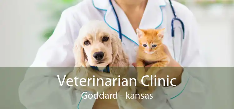 Veterinarian Clinic Goddard - kansas