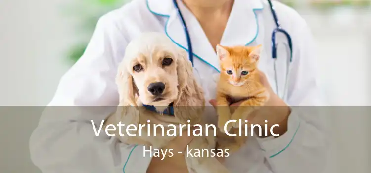 Veterinarian Clinic Hays - kansas