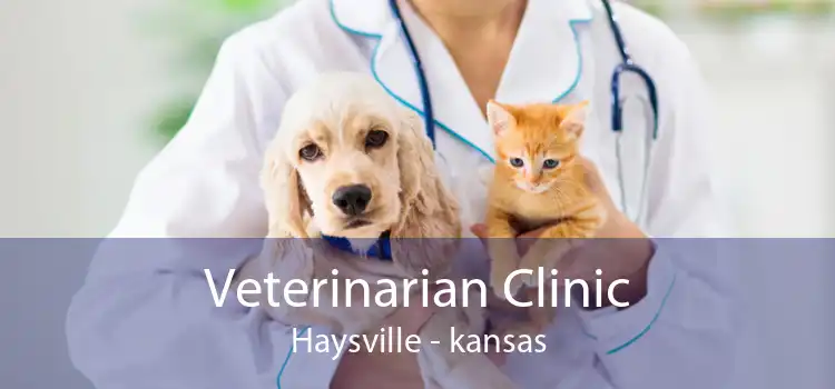 Veterinarian Clinic Haysville - kansas