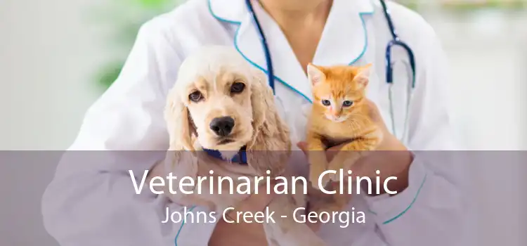 Veterinarian Clinic Johns Creek - Georgia