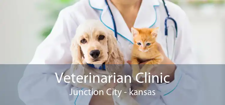 Veterinarian Clinic Junction City - kansas