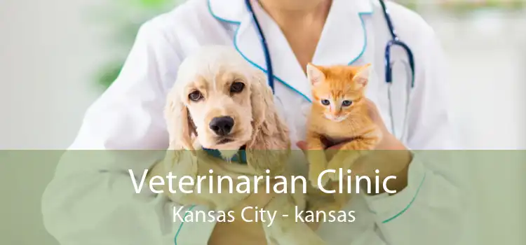 Veterinarian Clinic Kansas City - kansas