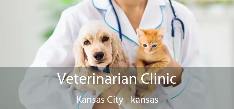 Veterinarian Clinic Kansas City - kansas