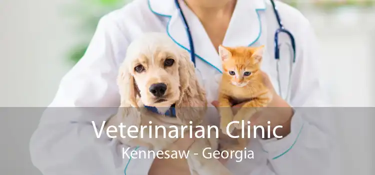 Veterinarian Clinic Kennesaw - Georgia