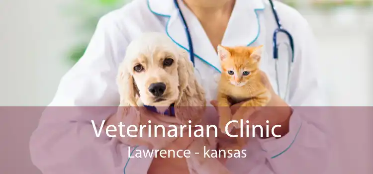 Veterinarian Clinic Lawrence - kansas