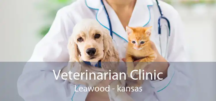 Veterinarian Clinic Leawood - kansas
