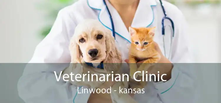 Veterinarian Clinic Linwood - kansas
