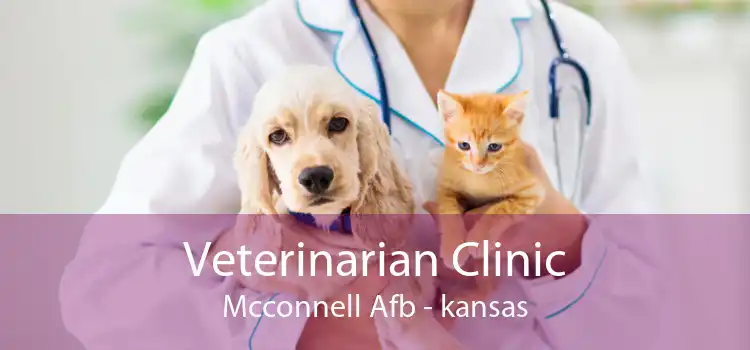 Veterinarian Clinic Mcconnell Afb - kansas