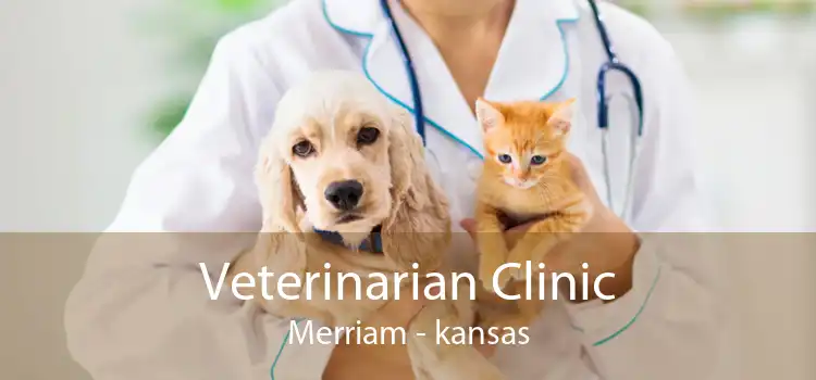 Veterinarian Clinic Merriam - kansas