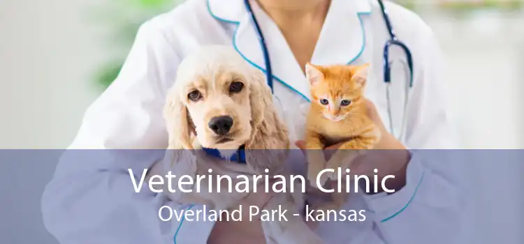 Veterinarian Clinic Overland Park - kansas