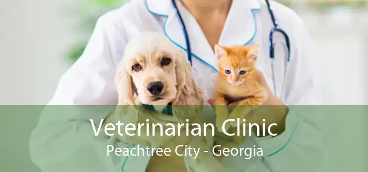 Veterinarian Clinic Peachtree City - Georgia