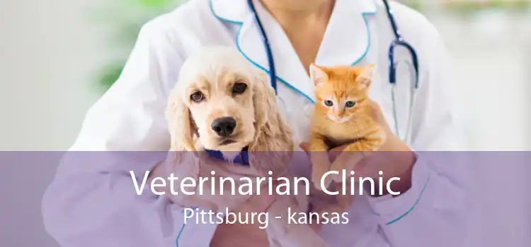 Veterinarian Clinic Pittsburg - kansas