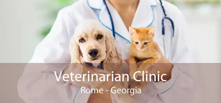 Veterinarian Clinic Rome - Georgia