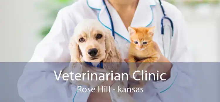 Veterinarian Clinic Rose Hill - kansas