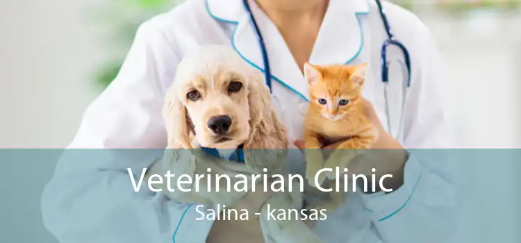 Veterinarian Clinic Salina - kansas