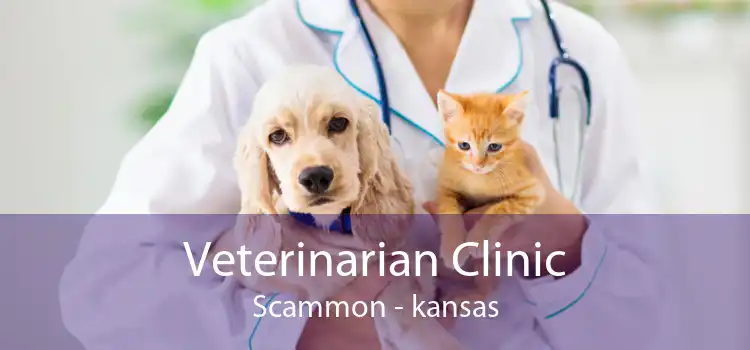 Veterinarian Clinic Scammon - kansas