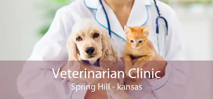 Veterinarian Clinic Spring Hill - kansas