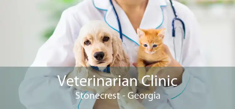 Veterinarian Clinic Stonecrest - Georgia