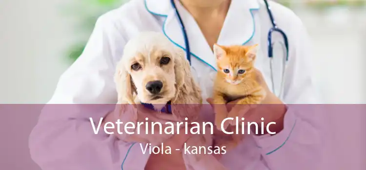 Veterinarian Clinic Viola - kansas