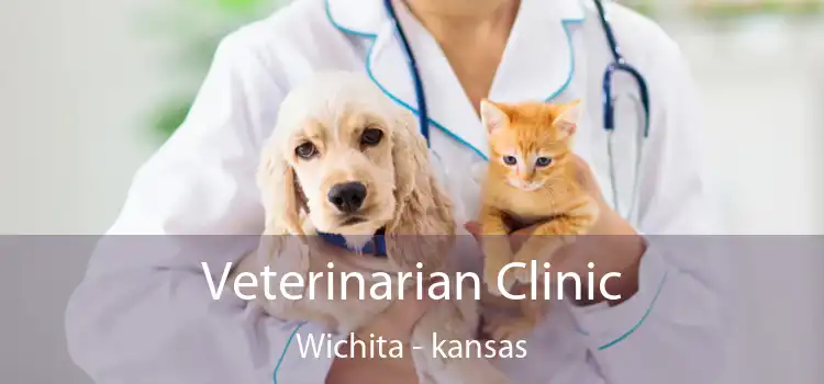 Veterinarian Clinic Wichita - kansas