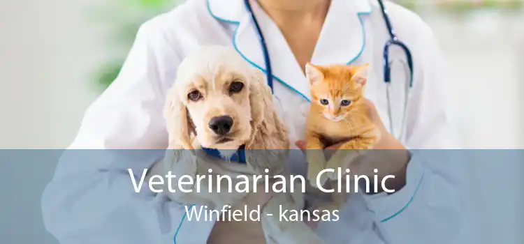 Veterinarian Clinic Winfield - kansas