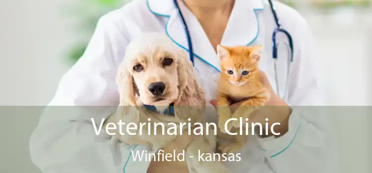 Veterinarian Clinic Winfield - kansas