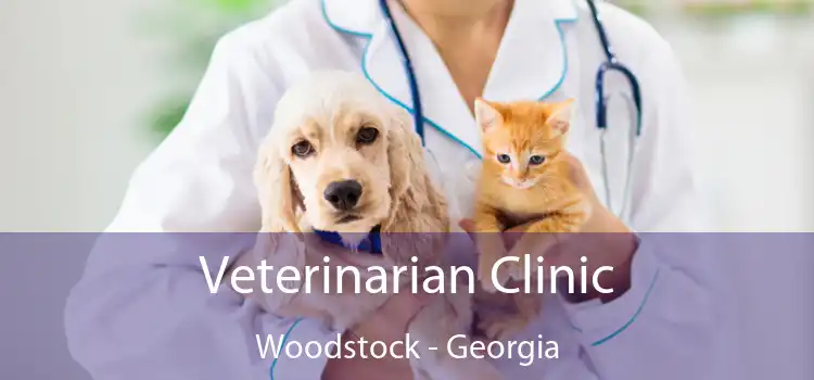 Veterinarian Clinic Woodstock - Georgia