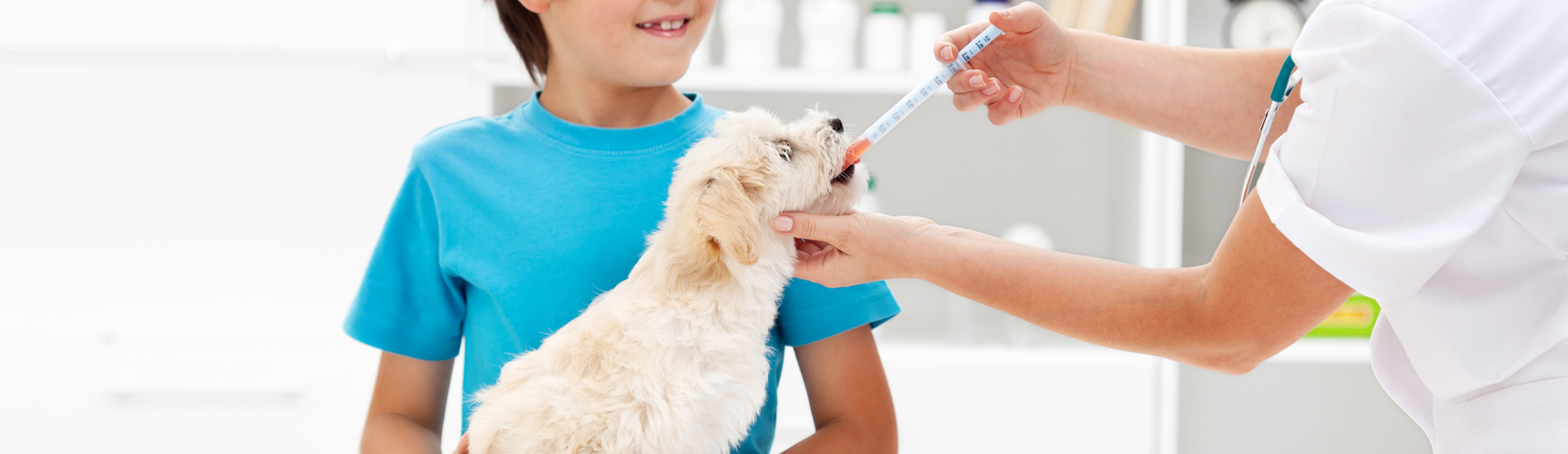Dog Vaccinations Topeka Low Cost Dog Vaccinations Near Me