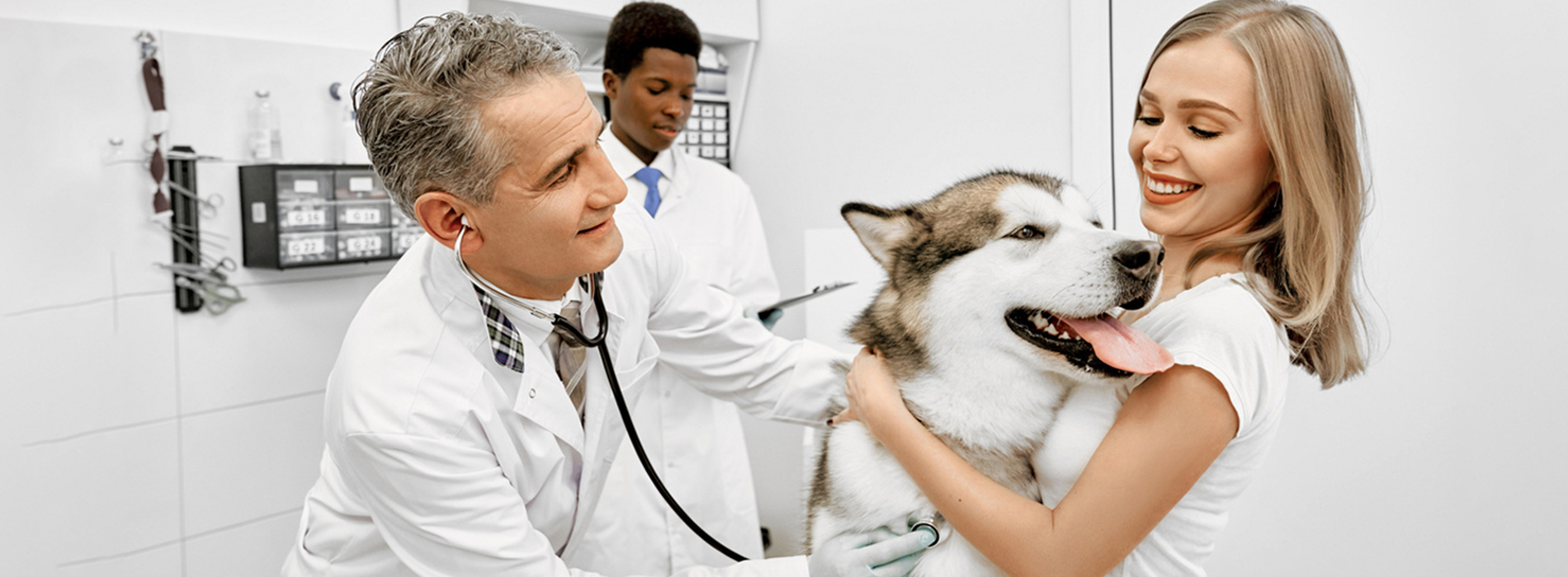 Veterinarian Clinic Derby - Emergency Vet And Pet Clinic Near Me Veterinarian Clinic Derby - Emergency Vet And Pet Clinic Near Me